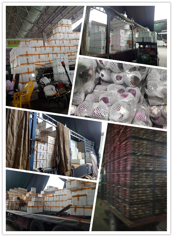 首页-PA真人集团有限公司官网