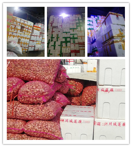 首页-PA真人集团有限公司官网