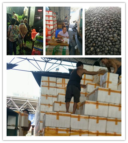 首页-PA真人集团有限公司官网