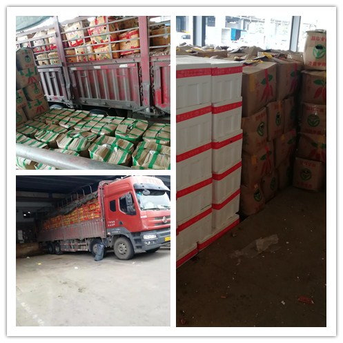 首页-PA真人集团有限公司官网