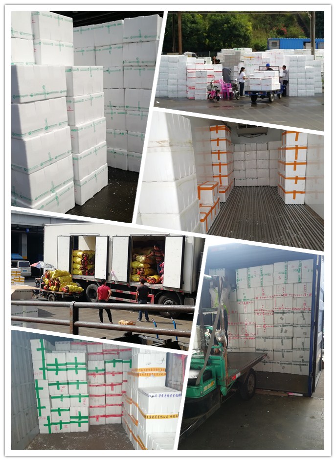 首页-PA真人集团有限公司官网