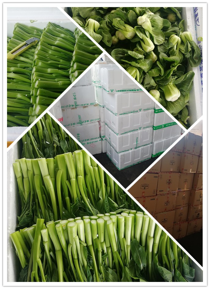 首页-PA真人集团有限公司官网