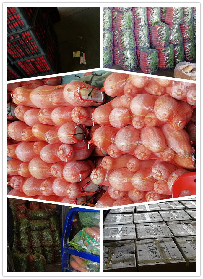 首页-PA真人集团有限公司官网