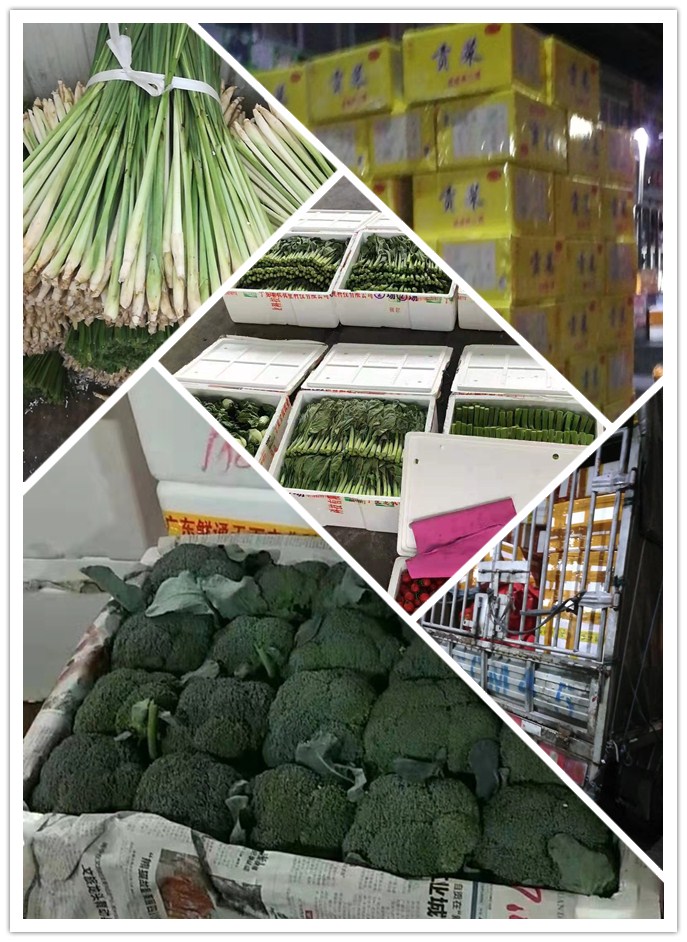 首页-PA真人集团有限公司官网