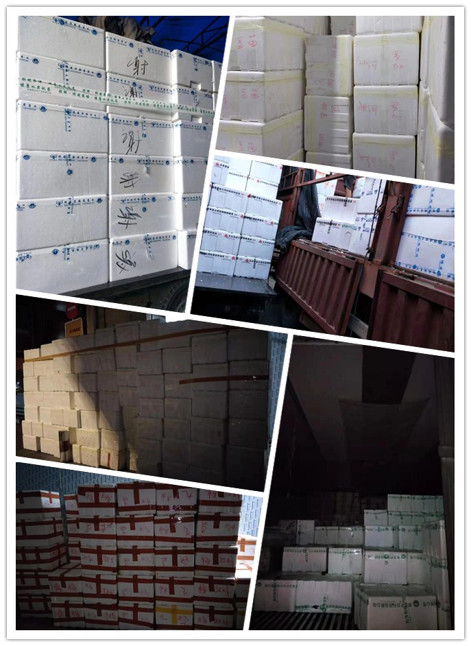 首页-PA真人集团有限公司官网