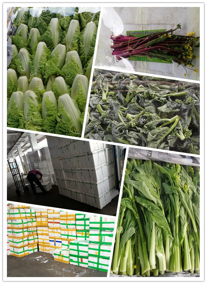 首页-PA真人集团有限公司官网