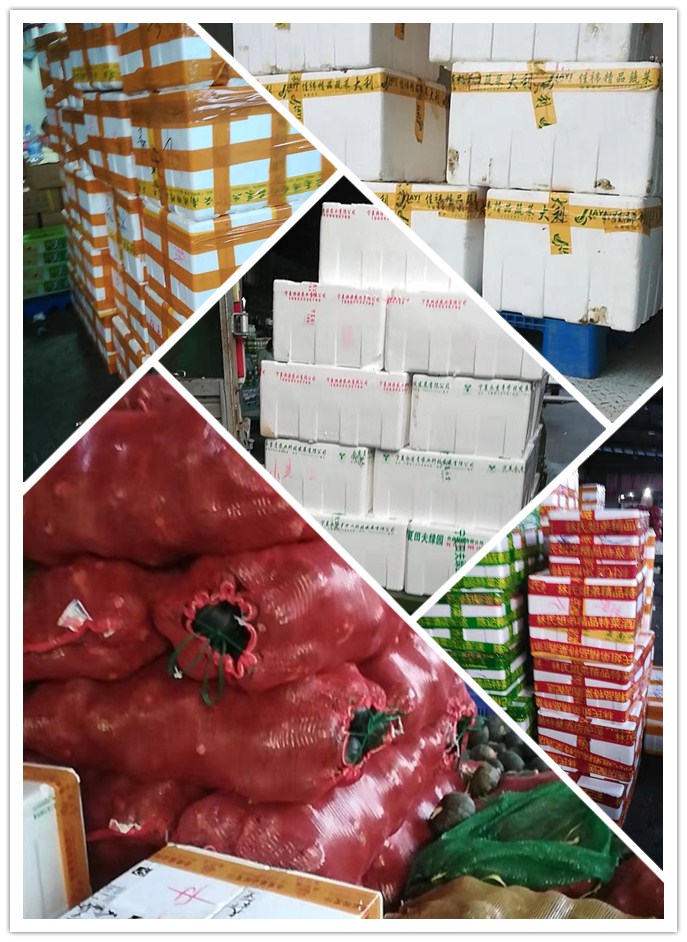 首页-PA真人集团有限公司官网