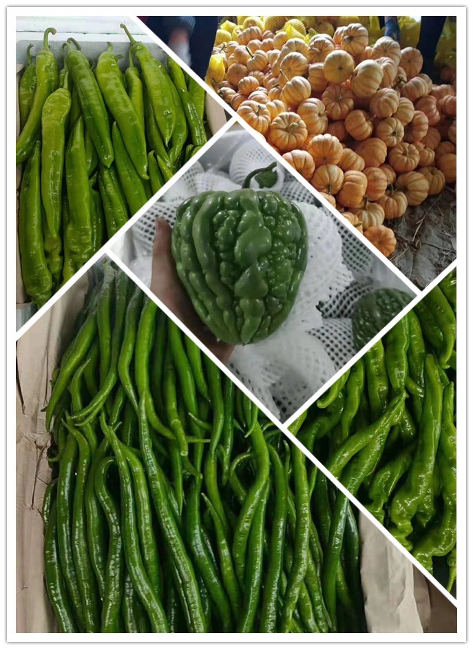 首页-PA真人集团有限公司官网