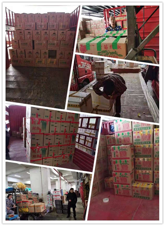 首页-PA真人集团有限公司官网