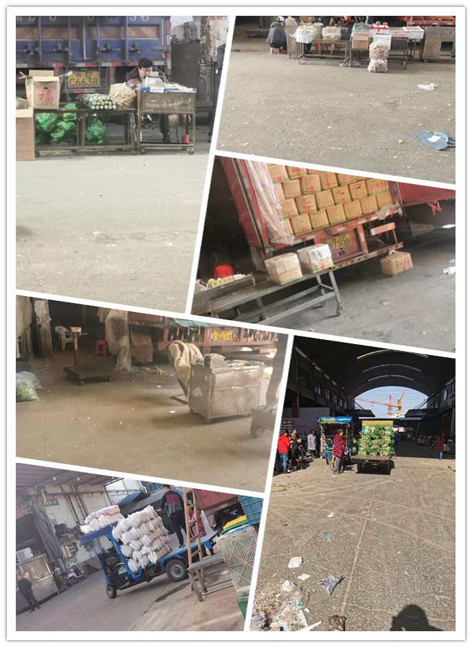 首页-PA真人集团有限公司官网