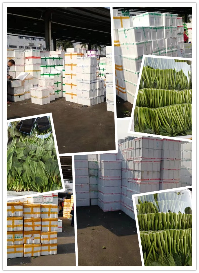 首页-PA真人集团有限公司官网