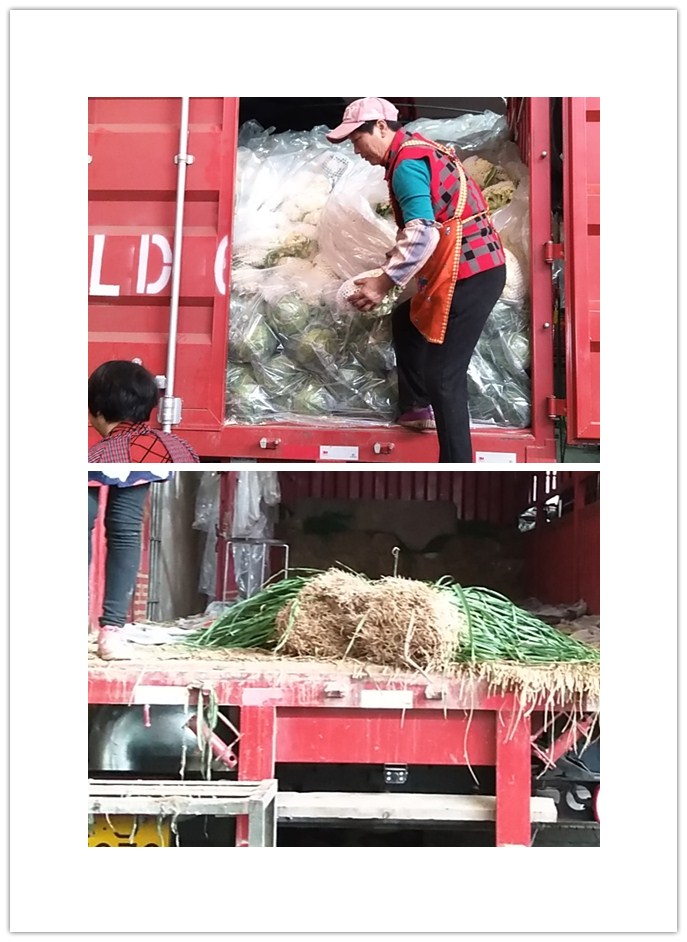 首页-PA真人集团有限公司官网