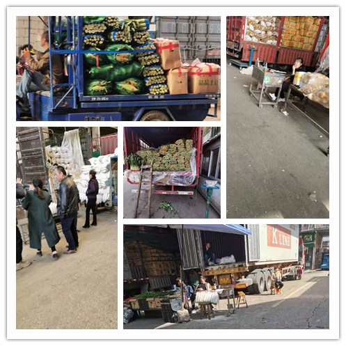 首页-PA真人集团有限公司官网