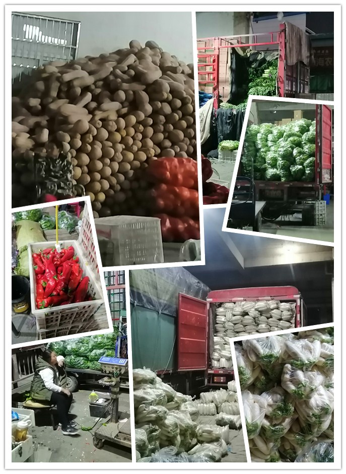 首页-PA真人集团有限公司官网