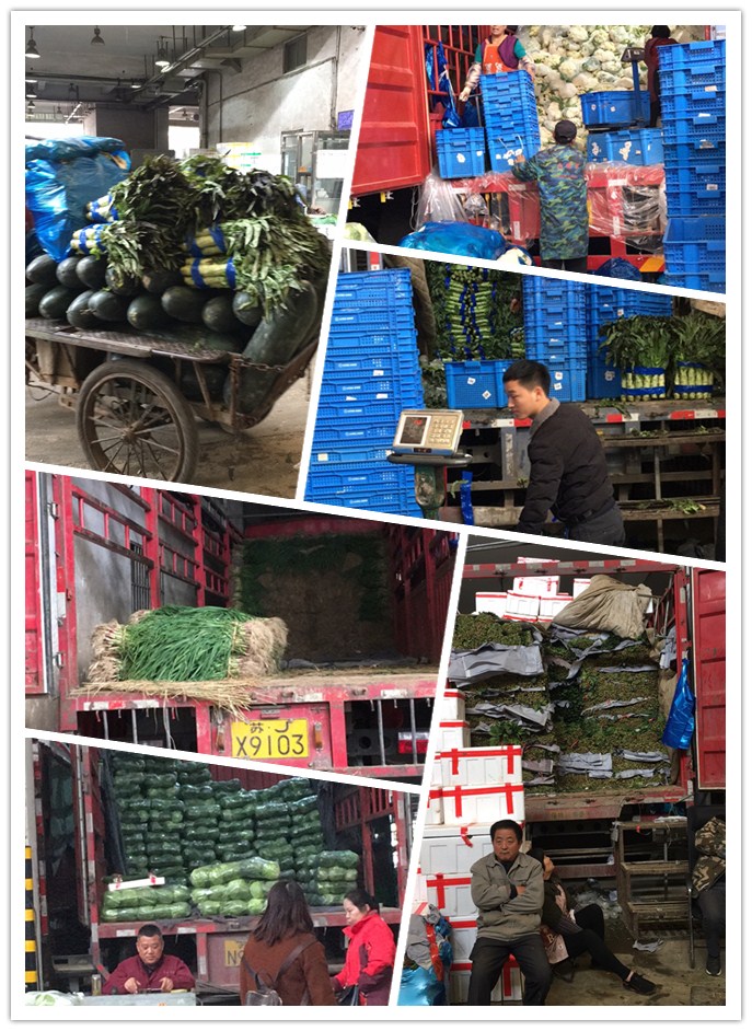 首页-PA真人集团有限公司官网