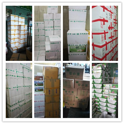 首页-PA真人集团有限公司官网