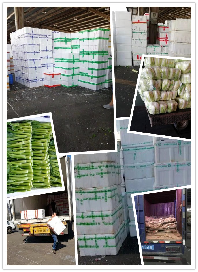 首页-PA真人集团有限公司官网