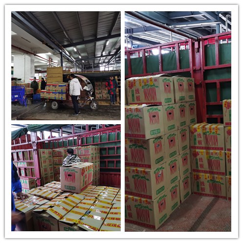 首页-PA真人集团有限公司官网