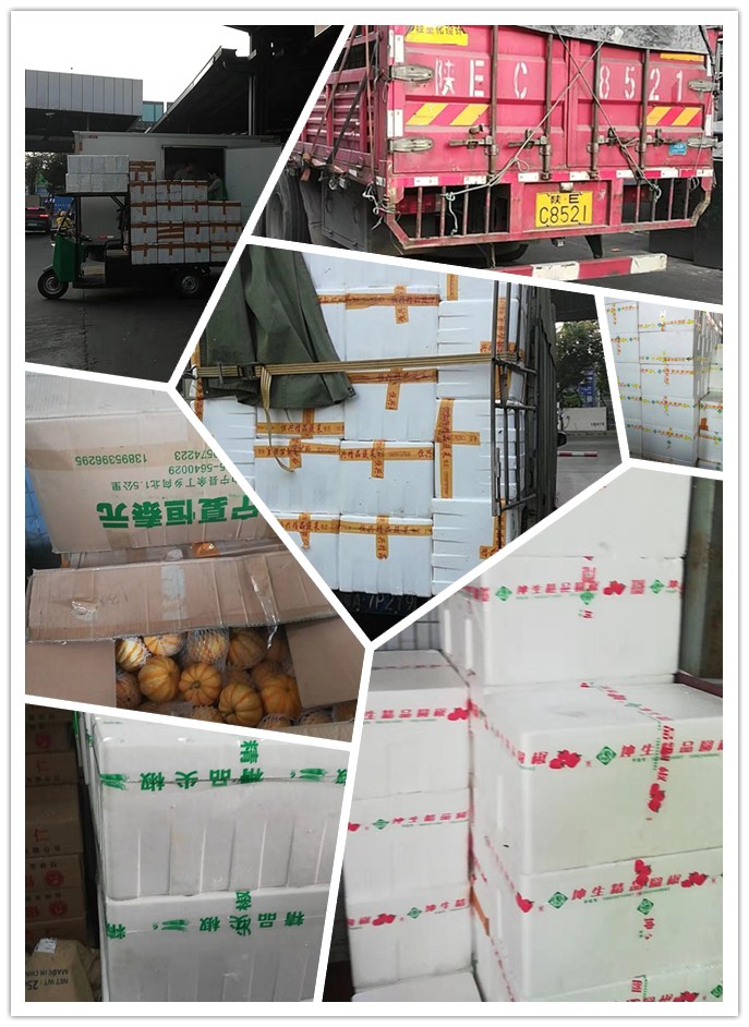 首页-PA真人集团有限公司官网