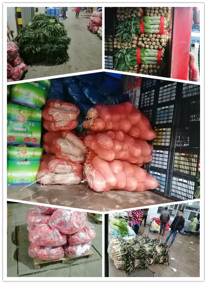 首页-PA真人集团有限公司官网