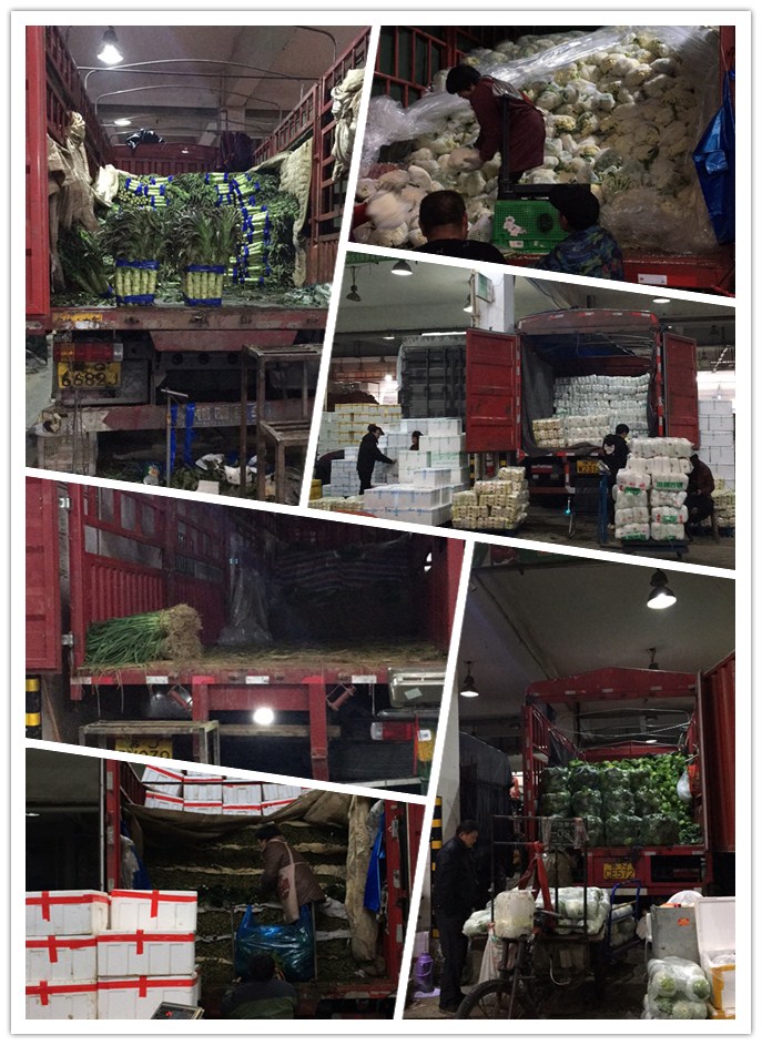 首页-PA真人集团有限公司官网