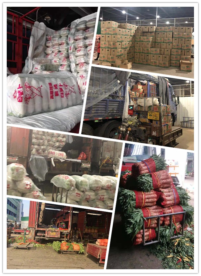 首页-PA真人集团有限公司官网