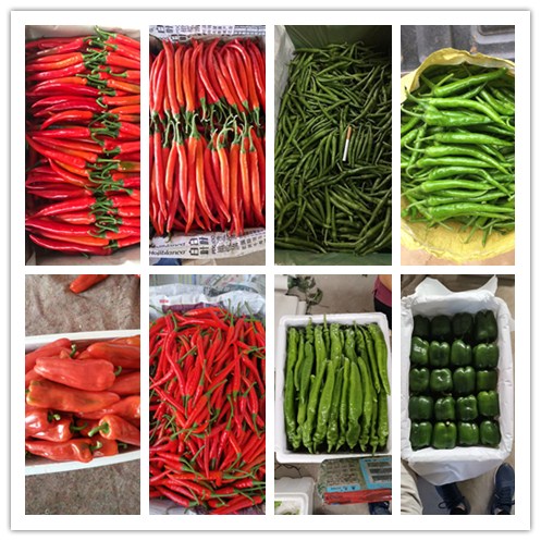 首页-PA真人集团有限公司官网