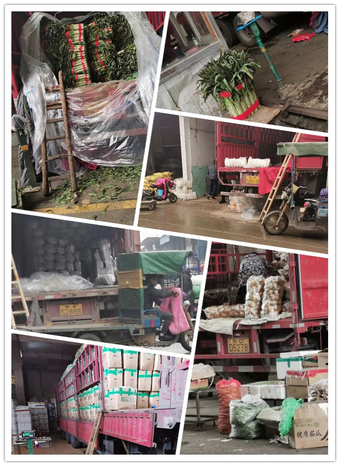 首页-PA真人集团有限公司官网