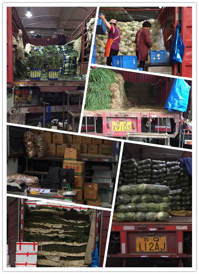 首页-PA真人集团有限公司官网