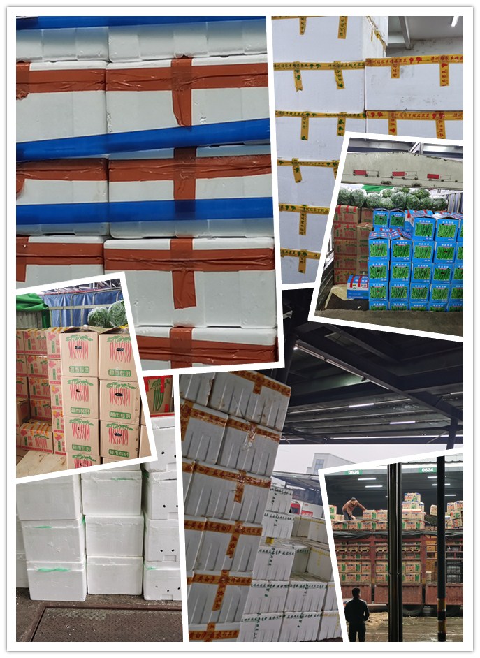 首页-PA真人集团有限公司官网