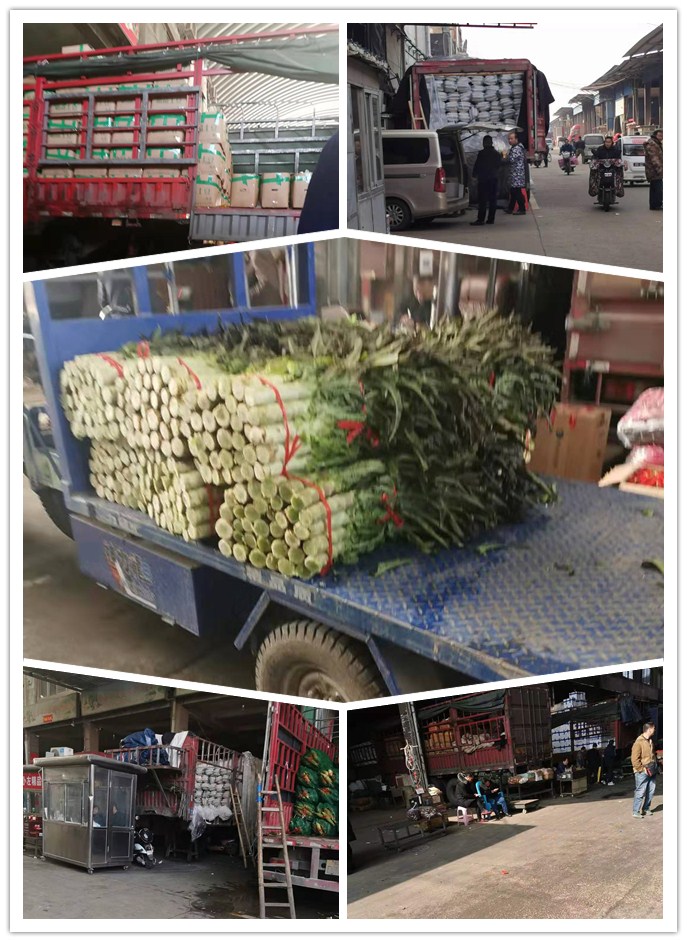 首页-PA真人集团有限公司官网