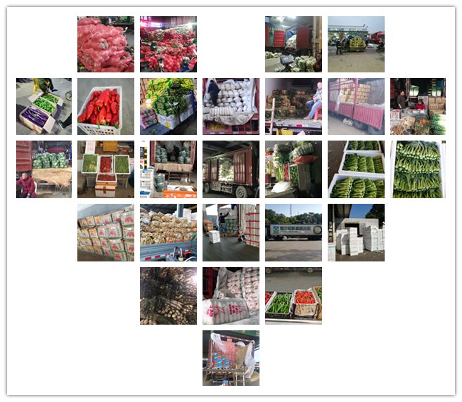 首页-PA真人集团有限公司官网