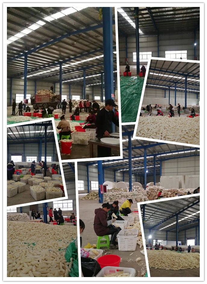 首页-PA真人集团有限公司官网