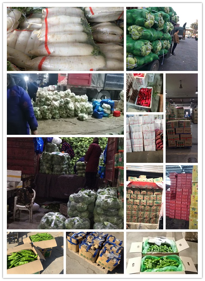 首页-PA真人集团有限公司官网