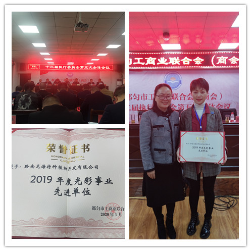 首页-PA真人集团有限公司官网