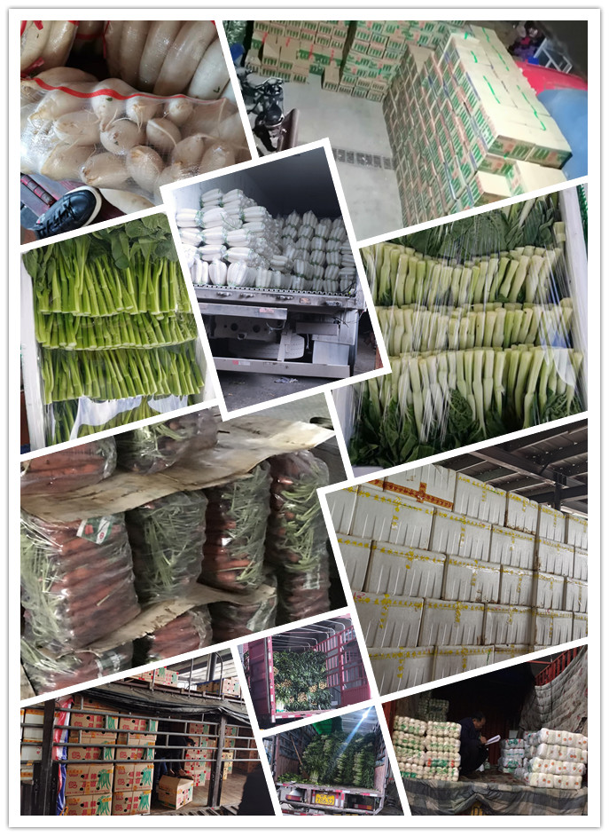 首页-PA真人集团有限公司官网