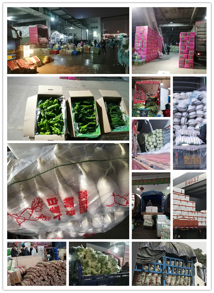 首页-PA真人集团有限公司官网