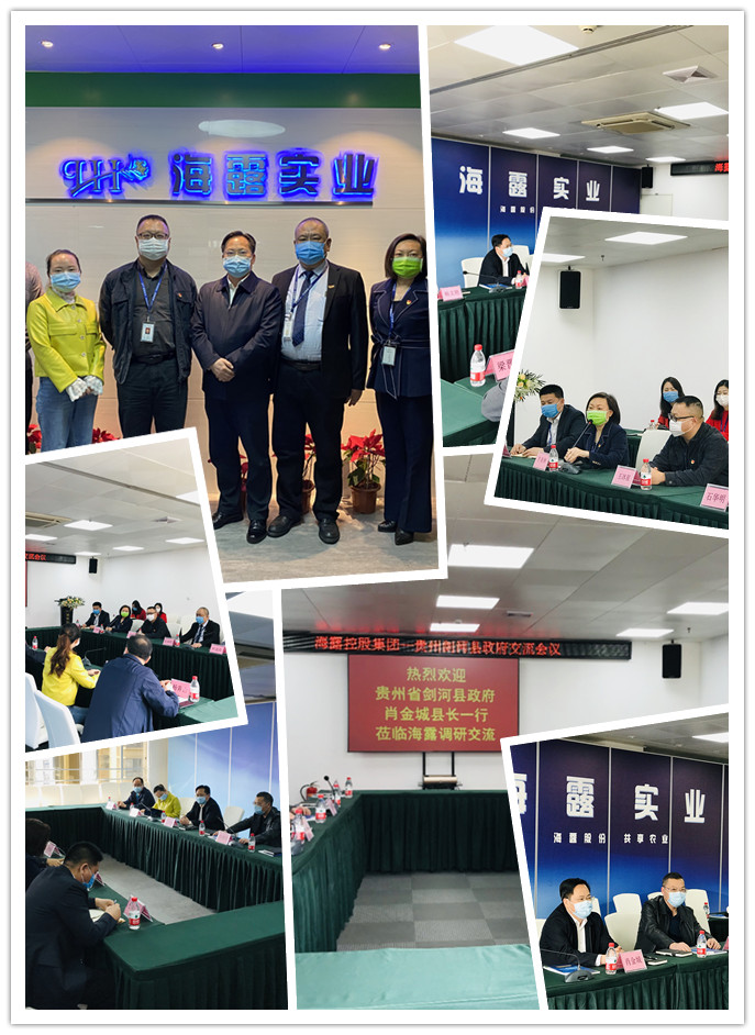 首页-PA真人集团有限公司官网