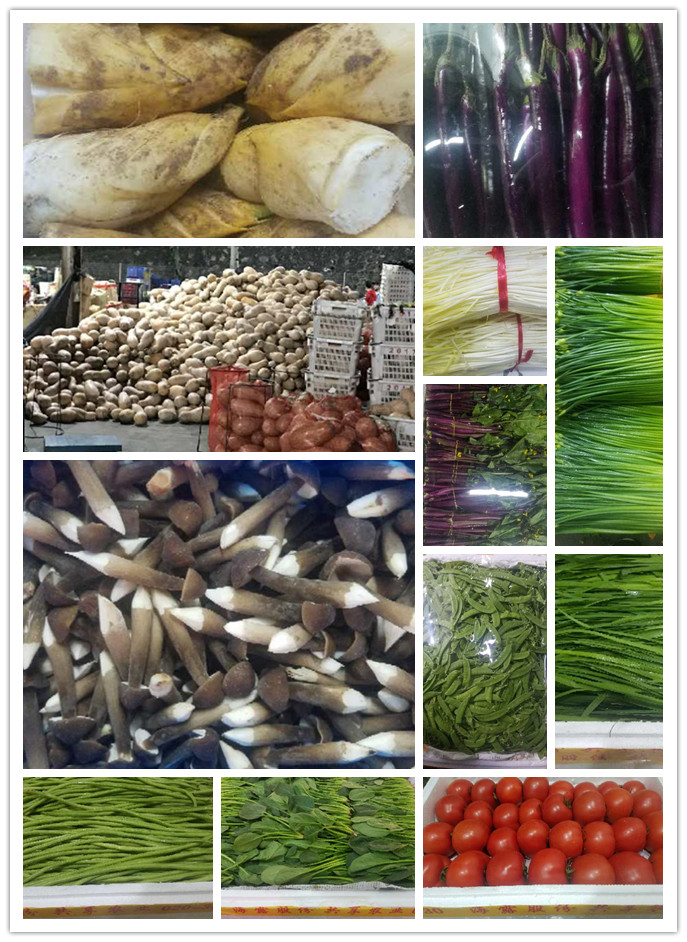 首页-PA真人集团有限公司官网