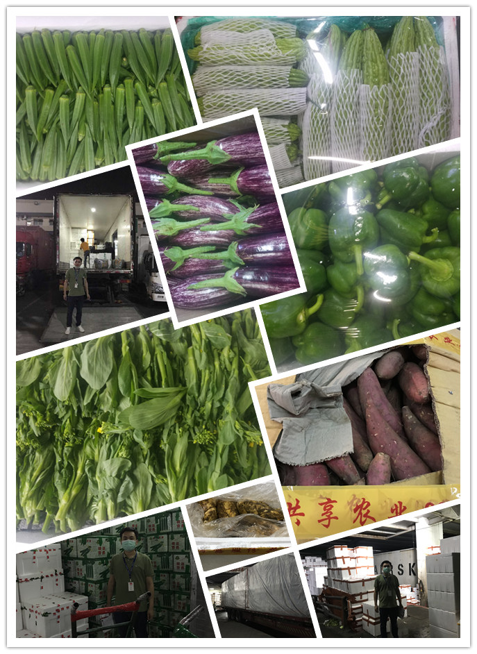 首页-PA真人集团有限公司官网