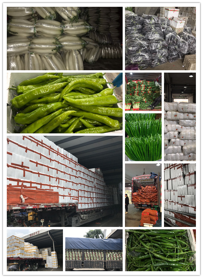 首页-PA真人集团有限公司官网