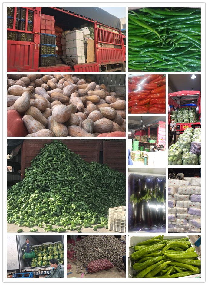 首页-PA真人集团有限公司官网