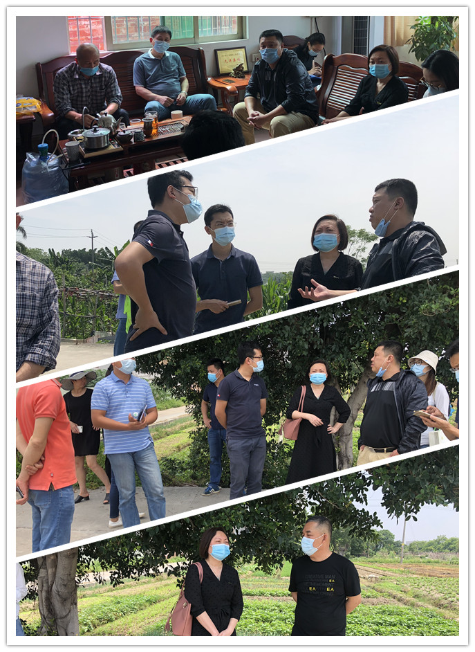 首页-PA真人集团有限公司官网