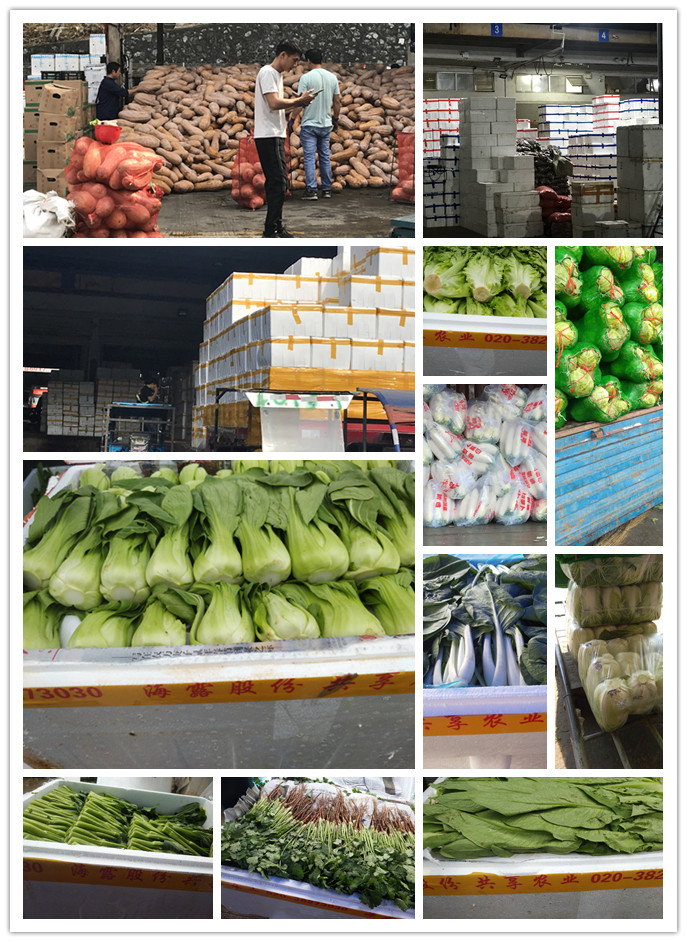 首页-PA真人集团有限公司官网