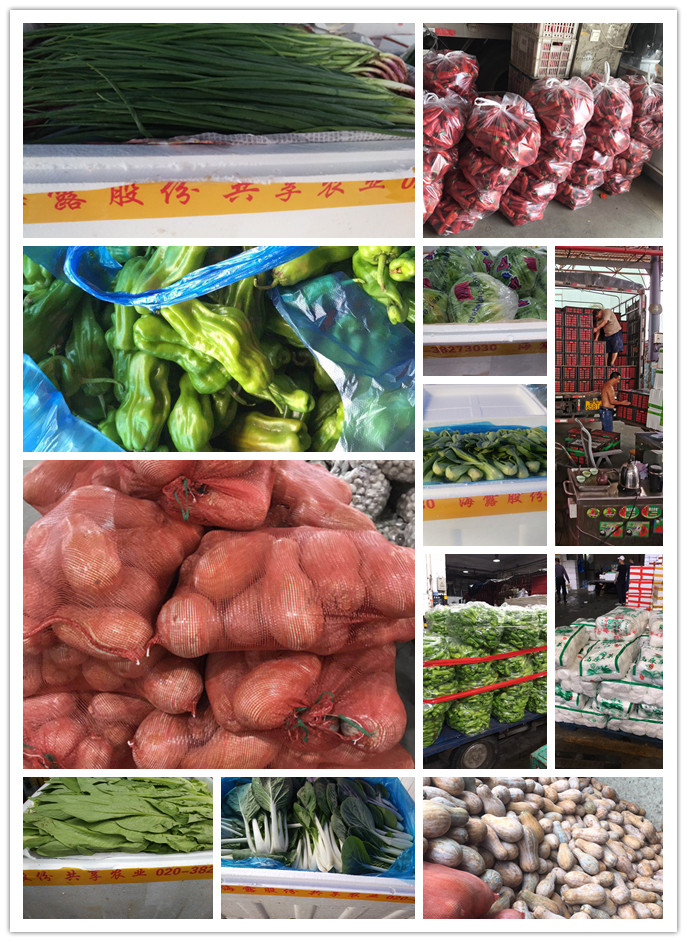 首页-PA真人集团有限公司官网