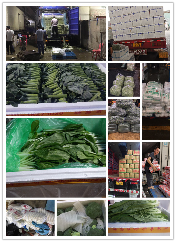 首页-PA真人集团有限公司官网