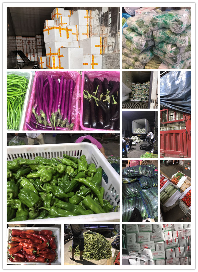 首页-PA真人集团有限公司官网