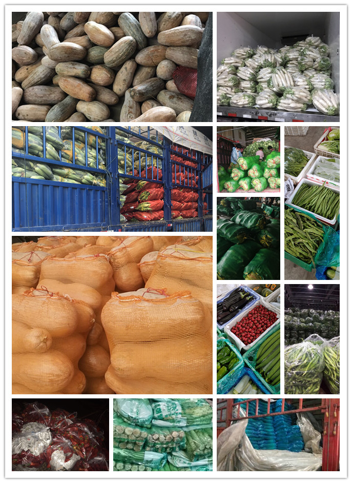 首页-PA真人集团有限公司官网