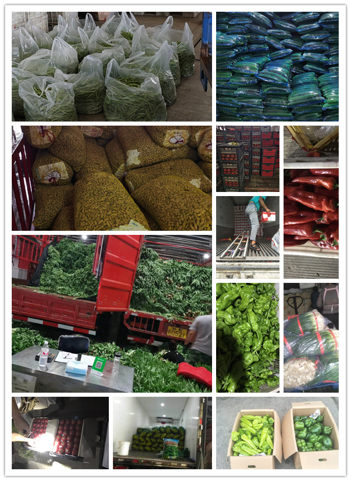 首页-PA真人集团有限公司官网