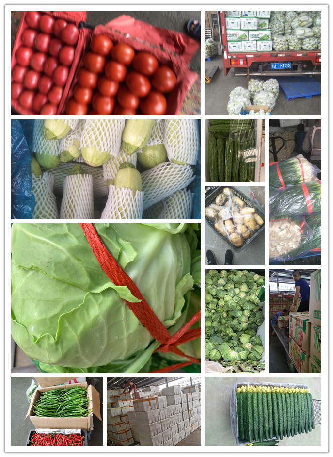 首页-PA真人集团有限公司官网